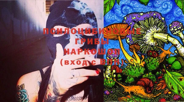 гашик Струнино