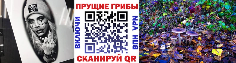 Галлюциногенные грибы мицелий  Суоярви 